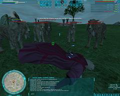 screenShot0103