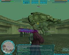 screenShot0105