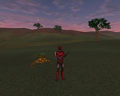screenShot0185